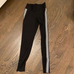 Black plants with white strips